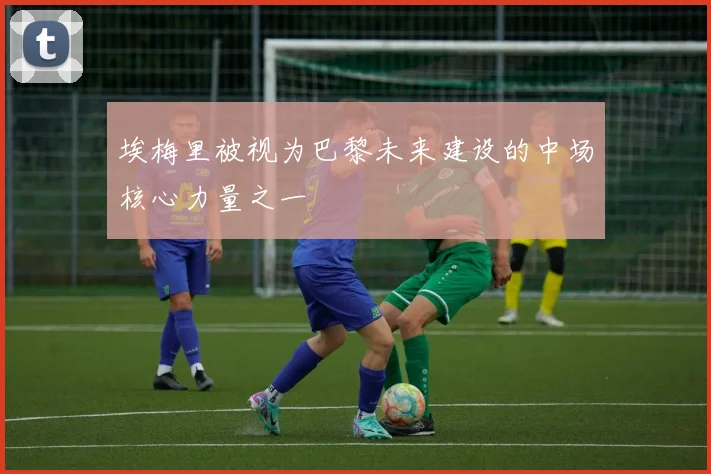 埃梅里被视为巴黎未来建设的中场核心力量之一